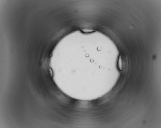 X0000100410093200807032048