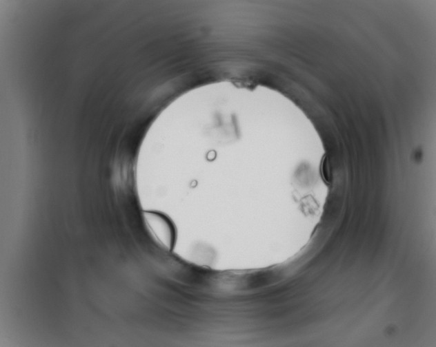 X0000100410094200807032048