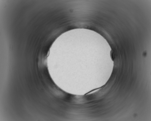 X0000100410095200807032048