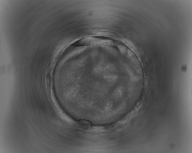 X0000100410097200807032047