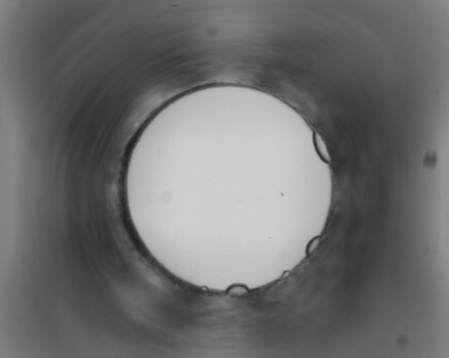 X0000100410098200807032047