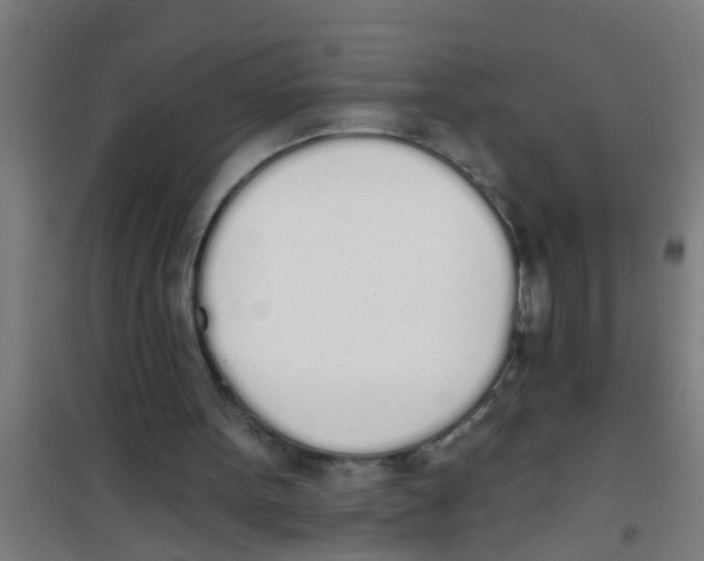X0000100410099200807032047