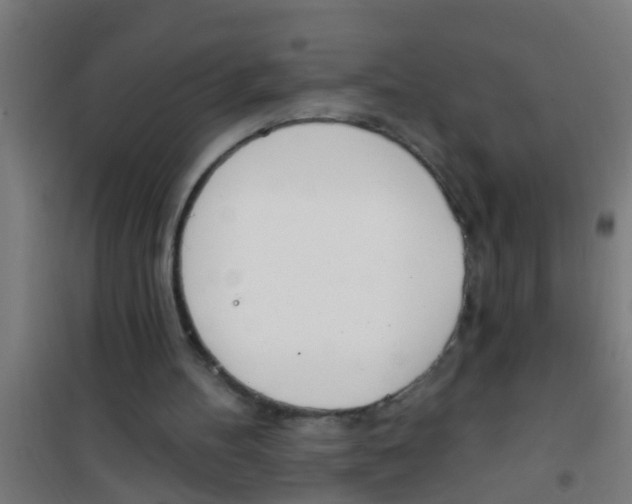 X0000100410100200807032047