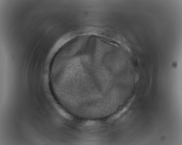 X0000100410101200807032047