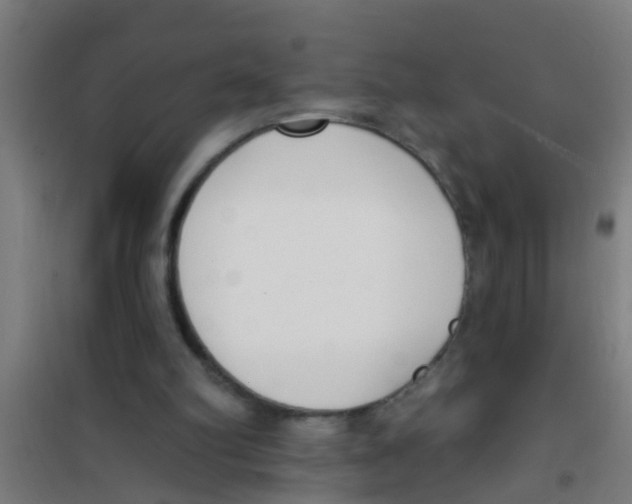 X0000100410102200807032047