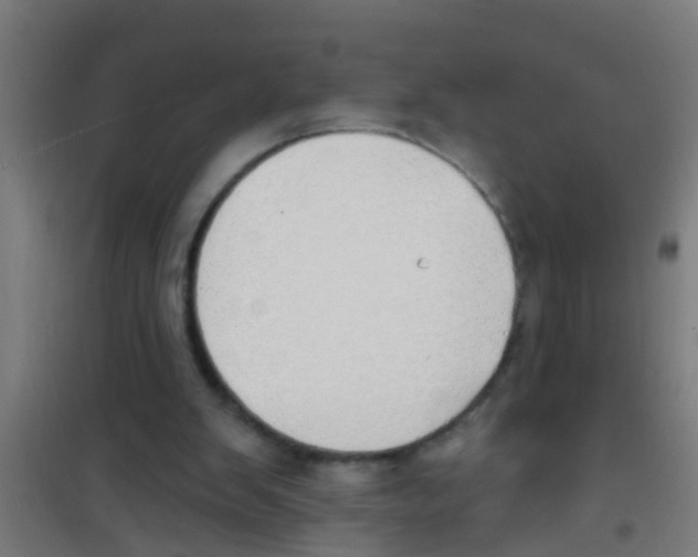 X0000100410103200807032047