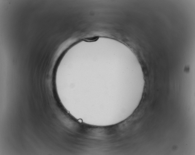 X0000100410104200807032047