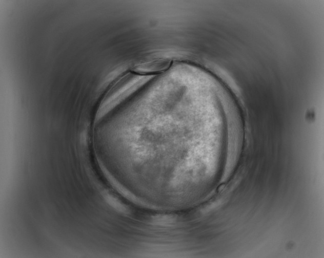 X0000100410105200807032047