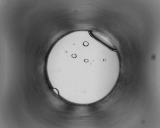 X0000100410107200807032047