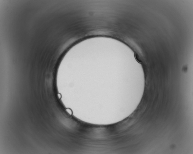 X0000100410108200807032047
