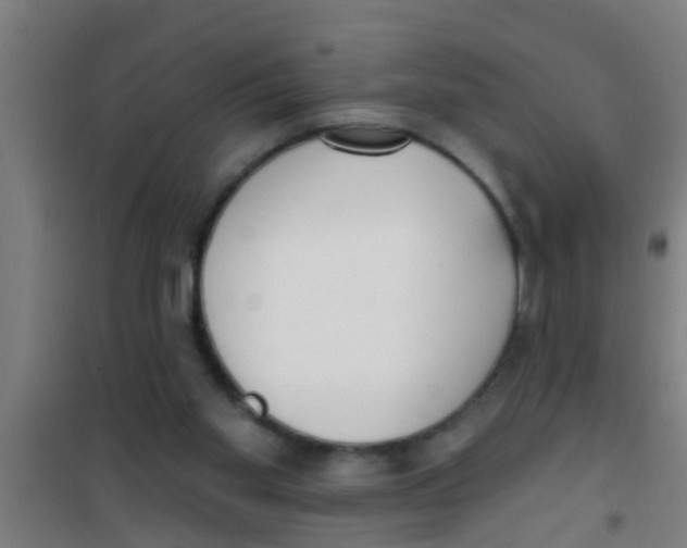 X0000100410109200807032047