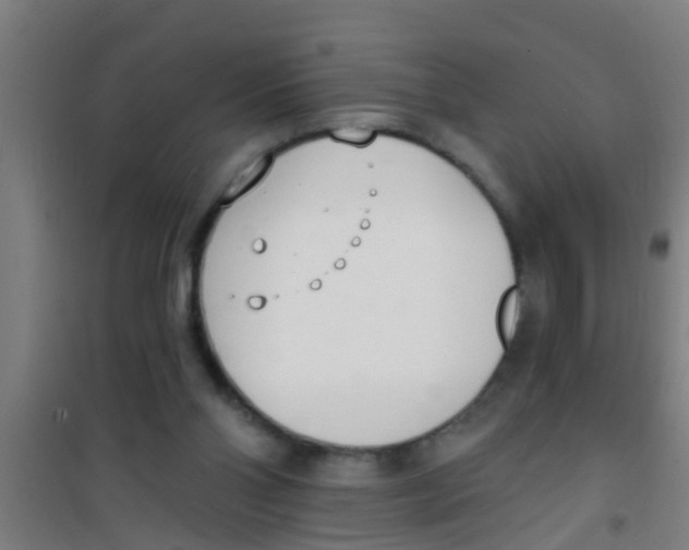 X0000100410110200807032047
