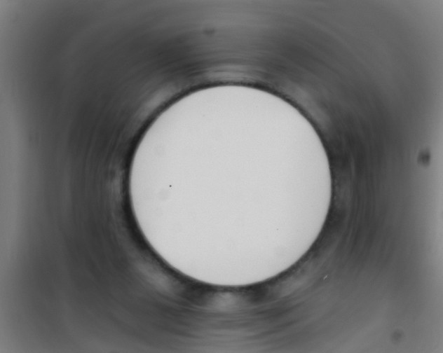 X0000100410111200807032047