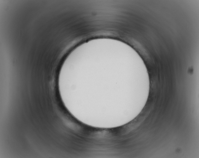 X0000100410112200807032047