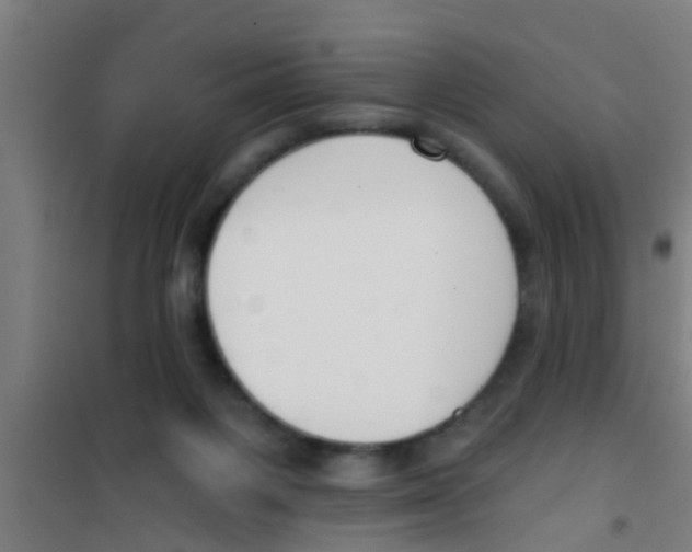 X0000100410119200807032047