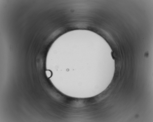 X0000100410120200807032047