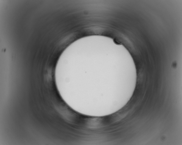 X0000100410122200807032047