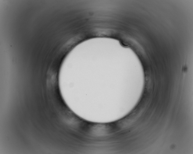 X0000100410123200807032047