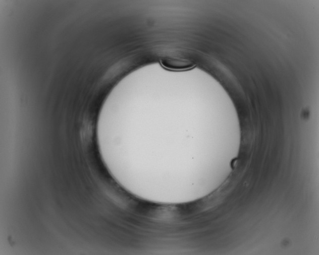 X0000100410124200807032047