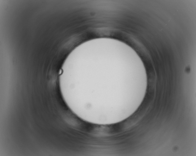 X0000100410125200807032047