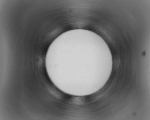 X0000100410126200807032047