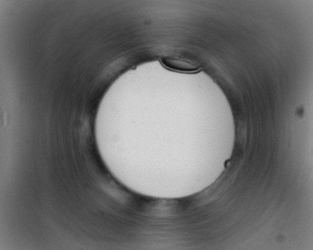 X0000100410128200807032047