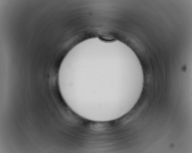 X0000100410129200807032047