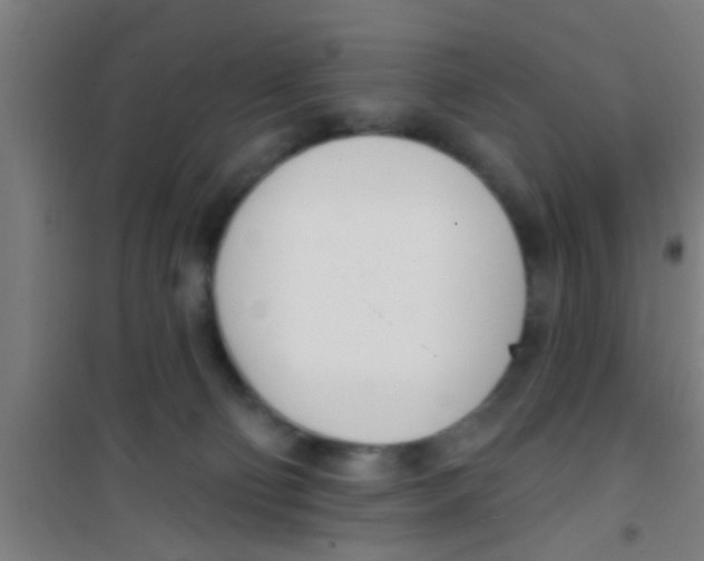 X0000100410130200807032046