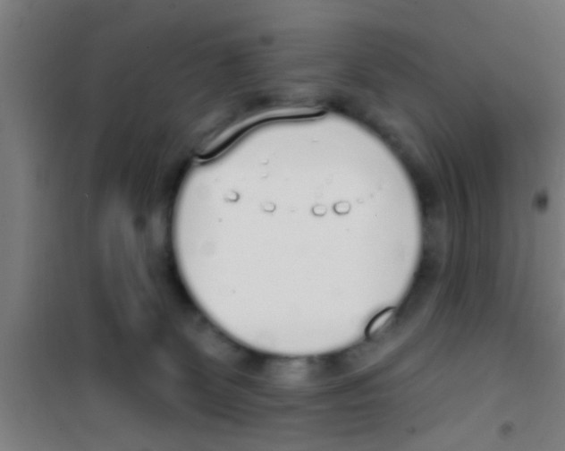 X0000100410131200807032046