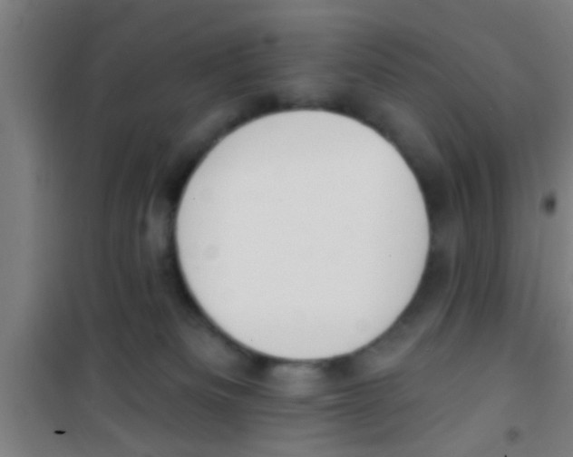 X0000100410133200807032046