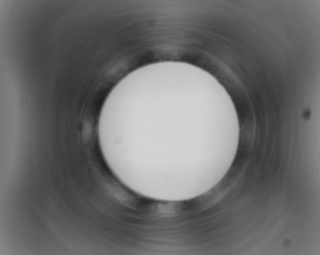 X0000100410134200807032046