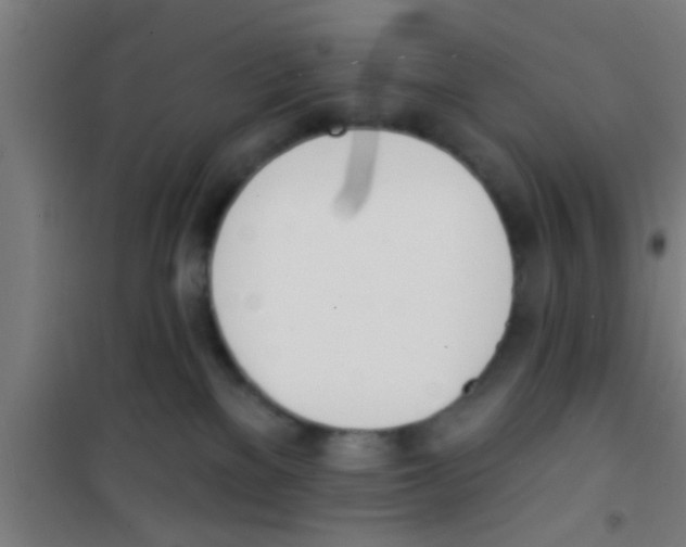 X0000100410137200807032046