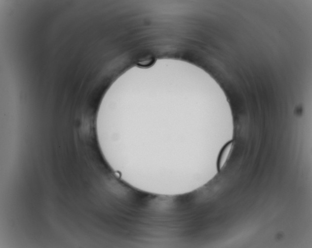 X0000100410138200807032046