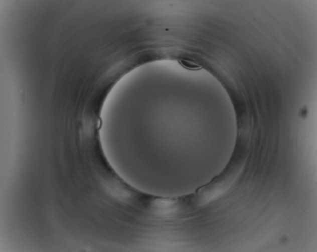 X0000100410139200807032046