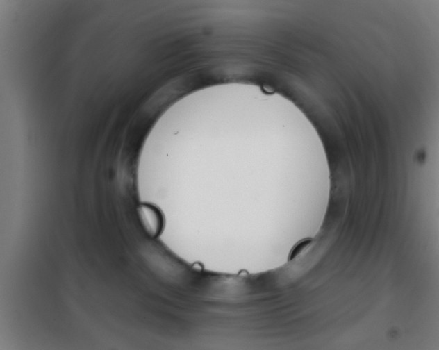 X0000100410140200807032046