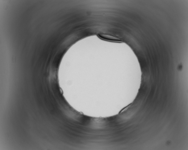 X0000100410141200807032046