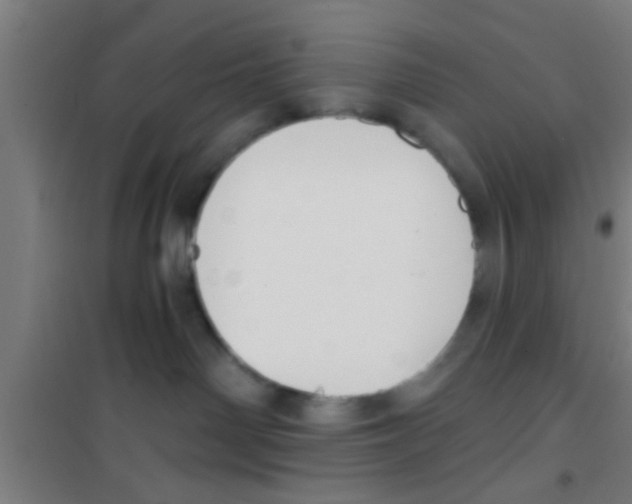 X0000100410142200807032046