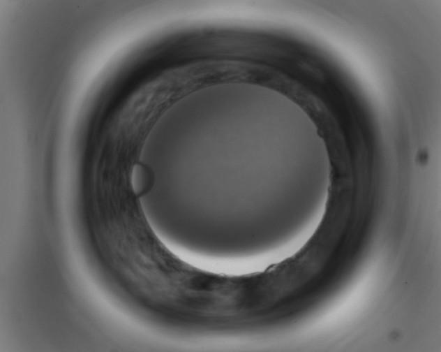 X0000100410143200807032046