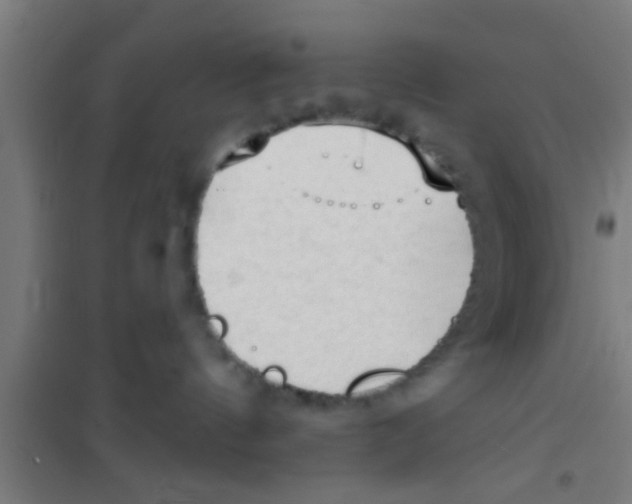 X0000100410144200807032046