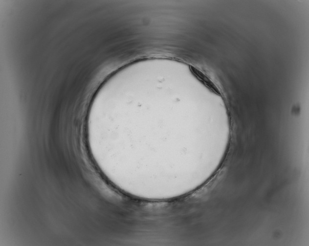 X0000100410145200807032046