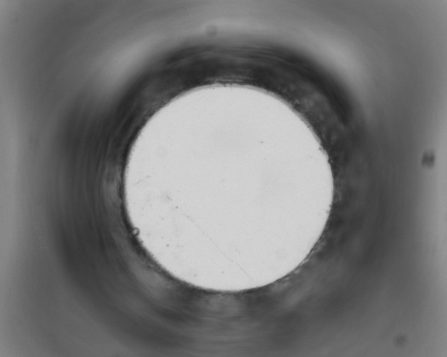 X0000100410146200807032046