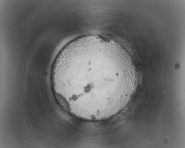 X0000100410147200807032046