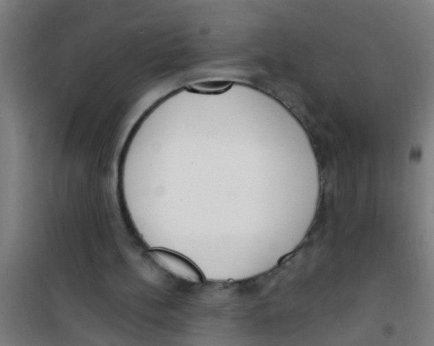 X0000100410148200807032046