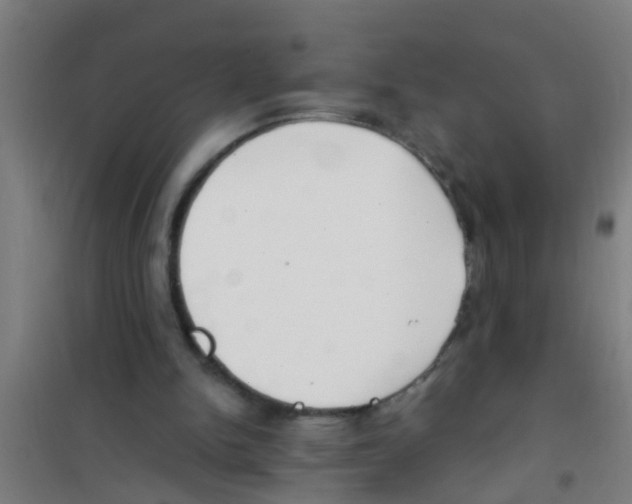 X0000100410150200807032046