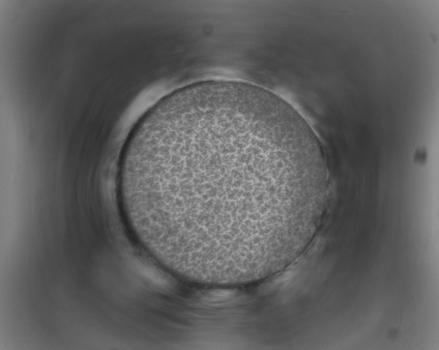 X0000100410151200807032046