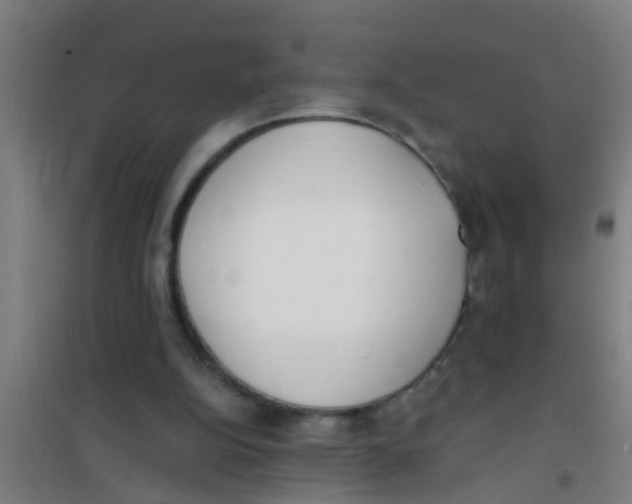 X0000100410152200807032046