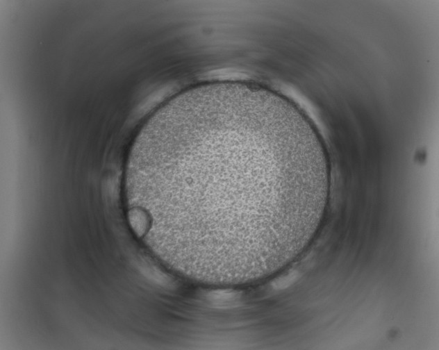 X0000100410153200807032046