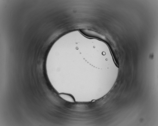 X0000100410154200807032046