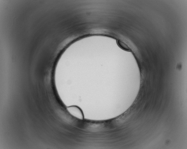 X0000100410155200807032046