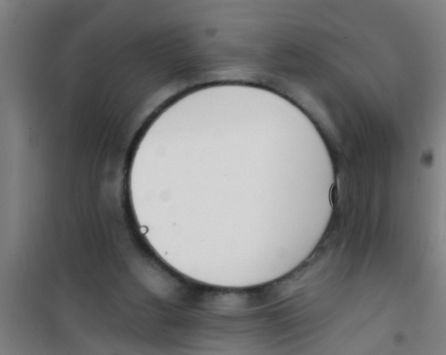 X0000100410156200807032046